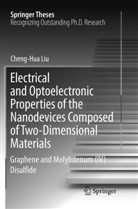 Cheng-Hua Liu - Electrical and Optoelectronic Properties of the Nanodevices Composed of Two-Dimensional Materials