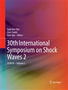 Gabi Ben-Dor, Ozer Igra, Ore Sadot, Oren Sadot - 30th International Symposium on Shock Waves 2