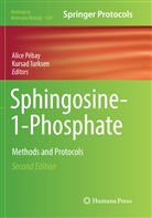 Alic Pébay, Alice Pébay, Turksen, Turksen, Kursad Turksen - Sphingosine-1-Phosphate