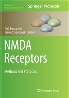 Nai Burnashev, Nail Burnashev, Szepetowski, Szepetowski, Pierre Szepetowski - NMDA Receptors