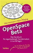 Silk Hermann, Silke Hermann, Niels Pfläging - OpenSpace Beta