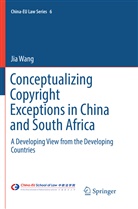 Jia Wang - Conceptualizing Copyright Exceptions in China and South Africa