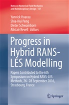 Yannick Hoarau, Shia-Hu Peng, Shia-Hui Peng, Alistair Revell, Dieter Schwamborn, Dieter Schwamborn et al - Progress in Hybrid RANS-LES Modelling