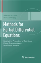 Marcelo Ebert, Marcelo R Ebert, Marcelo R. Ebert, Michael Reissig - Methods for Partial Differential Equations