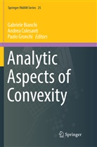 Gabriele Bianchi, Andre Colesanti, Andrea Colesanti, Paolo Gronchi - Analytic Aspects of Convexity