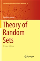 Ilya Molchanov - Theory of Random Sets