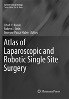 Georges-Pascal Haber, Rober J Stein, Robert J Stein, Jihad H Kaouk, Jihad H. Kaouk, Robert J. Stein - Atlas of Laparoscopic and Robotic Single Site Surgery