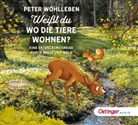 Peter Wohlleben, Hans Löw - Weißt du, wo die Tiere wohnen?, 2 Audio-CD (Audio book)