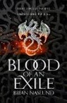 Brian Naslund - Blood of an Exile