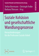Stefan Borrmann, Christop Fedke, Christoph Fedke, Barbara Thiessen - Soziale Kohäsion und gesellschaftliche Wandlungsprozesse