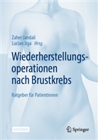 Zaher Jandali, Jiga, Lucian Jiga - Wiederherstellungsoperationen nach Brustkrebs