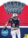 Ramey Temple - Auburn Tigers