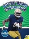 Ramey Temple - Notre Dame Fighting Irish