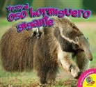 Katie Gillespie - El Oso Hormiguero Gigante