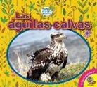 Heather Kissock - Las Águilas Calvas
