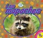 Heather Kissock - Los Mapaches