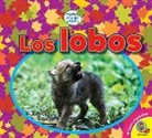Heather Kissock - Los Lobos