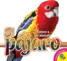 Jared Siemens - El Pájaro