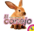 Jared Siemens - El Conejo