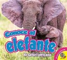 Katie Gillespie - Conoce Al Elefante