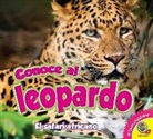Katie Gillespie - Conoce Al Leopardo