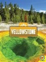 Tamra B Orr, Tamra B. Orr, Weigl - Yellowstone