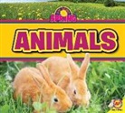 M J York, M. J. York - Animals