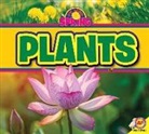 M J York, M. J. York - Plants