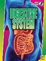 Simon Rose - Digestive System