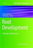 Barbez, Barbez, Elke Barbez, Daniel Ristova, Daniela Ristova - Root Development