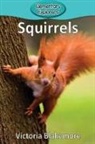 Victoria Blakemore - Squirrels
