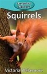 Victoria Blakemore - Squirrels