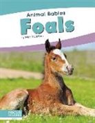 Meg Gaertner - Foals