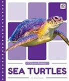 Emma Bassier - Sea Turtles