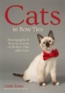 Lindsi Jones - Cats in Bow Ties