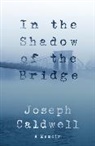 Joseph Caldwell - In the Shadow of the Bridge