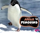 Jody S Rake, Jody S. Rake - Adélie Penguins
