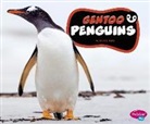 Jody S Rake, Jody S. Rake - Gentoo Penguins