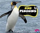 Jody S Rake, Jody S. Rake - King Penguins