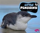 Jody S Rake, Jody S. Rake - Little Penguins