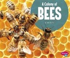 Lucia Raatma, Lucia Tarbox Raatma - A Colony of Bees