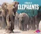 Amy Kortuem - A Herd of Elephants