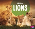 Amy Kortuem - A Pride of Lions