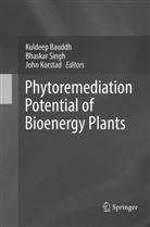 Kuldeep Bauddh, John Korstad, Bhaska Singh, Bhaskar Singh - Phytoremediation Potential of Bioenergy Plants