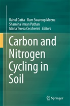 Maria Teresa Ceccherini, Rahul Datta, Shamina Imran Pathan et al, Ram Swaroop Meena, Shamina Imran Pathan, Ra Swaroop Meena... - Carbon and Nitrogen Cycling in Soil