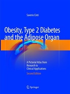 Saverio Cinti - Obesity, Type 2 Diabetes and the Adipose Organ