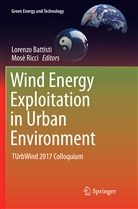 Lorenz Battisti, Lorenzo Battisti, Ricci, Ricci, Mosè Ricci - Wind Energy Exploitation in Urban Environment