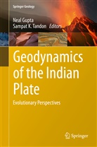 Nea Gupta, Neal Gupta, K Tandon, K Tandon, Tandon, Sampat Tandon... - Geodynamics of the Indian Plate