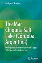 Enrique H Bucher, Enrique H. Bucher - The Mar Chiquita Salt Lake (Córdoba, Argentina); .