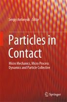 Sergi Antonyuk, Sergiy Antonyuk - Particles in Contact